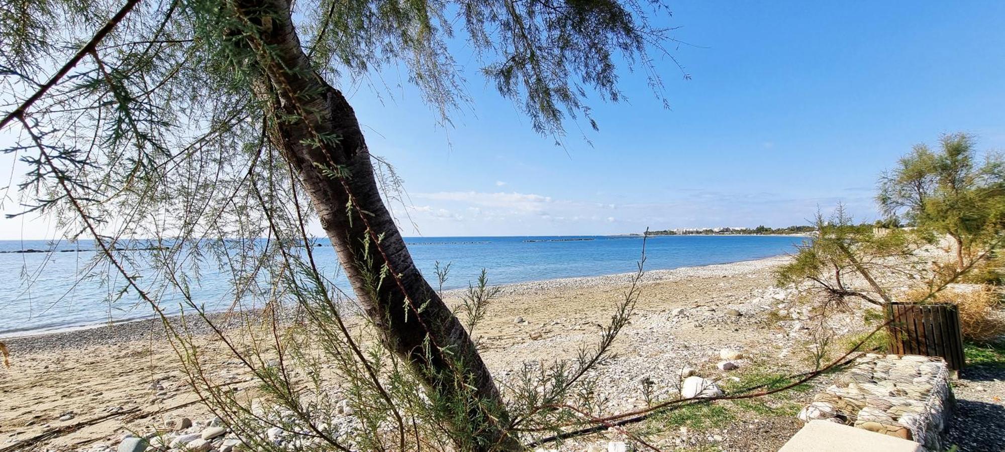 Shanti Paphos Villa Exteriör bild