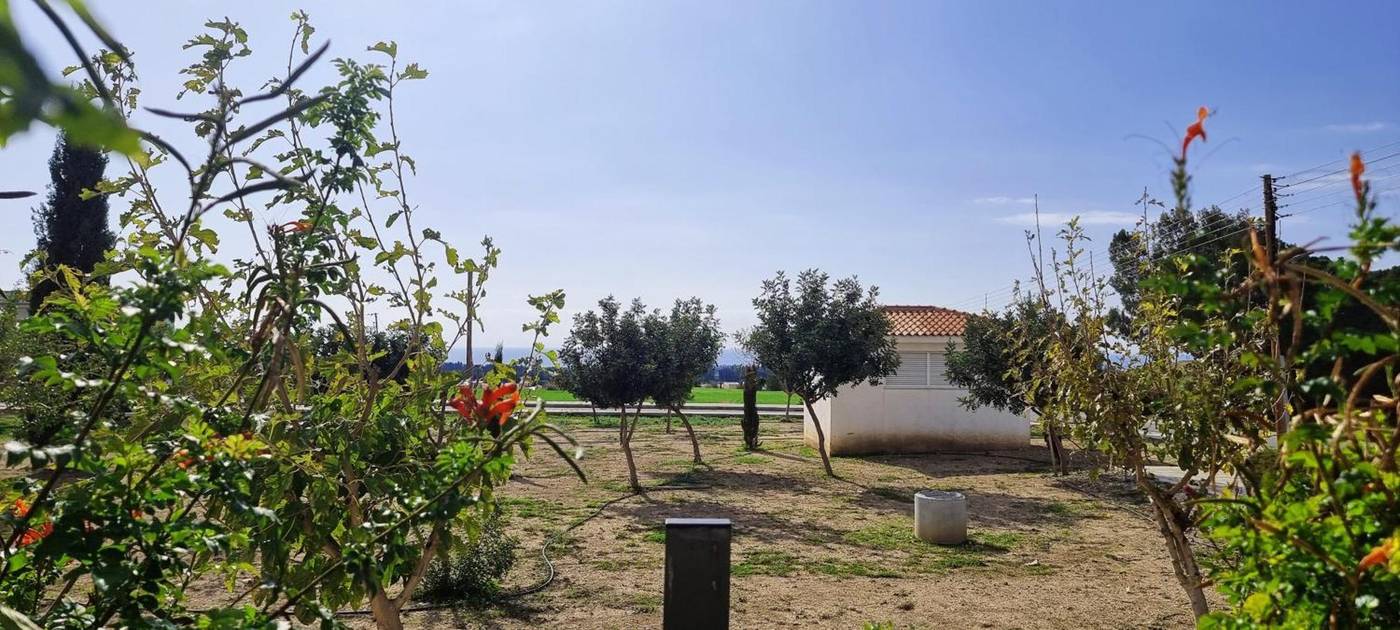 Shanti Paphos Villa Exteriör bild