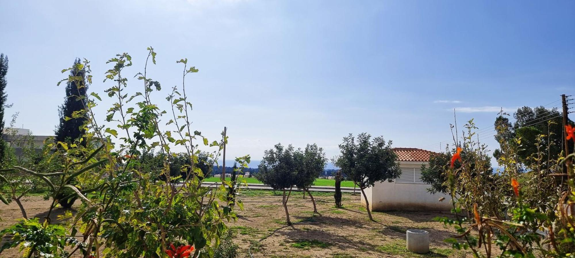 Shanti Paphos Villa Exteriör bild